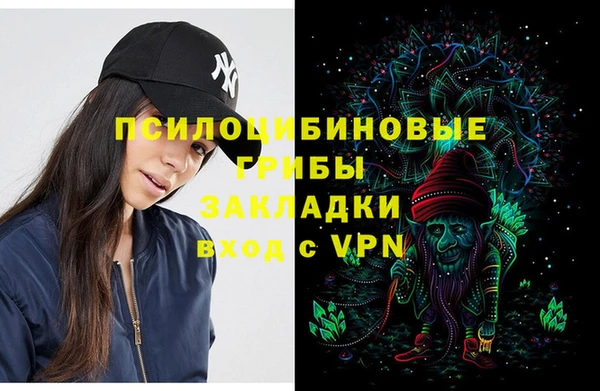 дмт Балахна