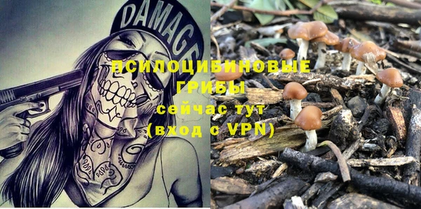 дмт Балахна