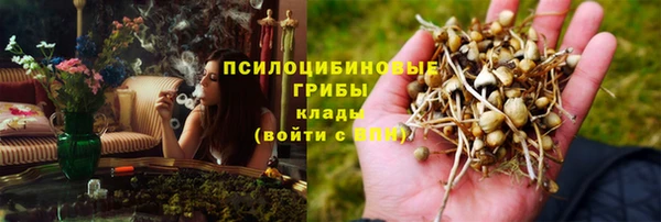 стаф Армянск