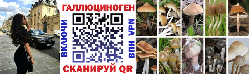 сайты даркнета наркотические препараты Кстово Псилоцибиновые грибы Psilocybine cubensis